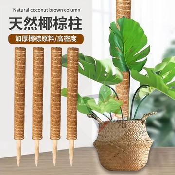 植物攀爬椰棒【台灣現貨速出】椰棒 攀爬棒 椰棕棒 支撐棒 植物攀爬 椰纖棒 觀葉植物 爬藤植物 攀爬桿 椰柱 椰纖柱