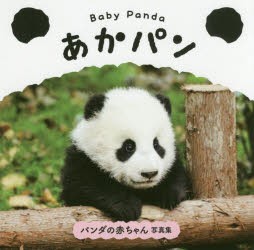 Baby Panda あかパン パンダの赤ちゃん写真集 パイインターナショナル