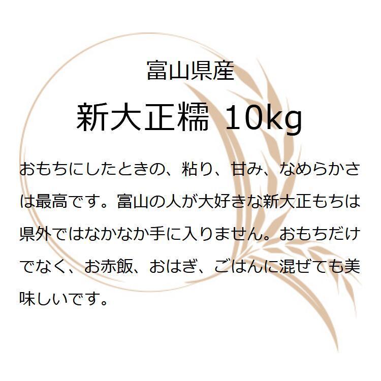 お米 ギフト もち米 10kg 新大正糯 富山県産 富山県産新大正もち米 10キロ 国産 令和5年産 新米 精米 白米 もちごめ お正月 雑煮 餅 おもち 赤飯 おこわ