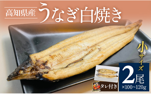 吉川水産 高知県産うなぎの白焼き 小サイズ(100～120g)×2尾 タレ付き yw-0043