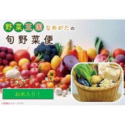 ふるさと納税 行方市 野菜王国なめがたの旬野菜便(米入り)CU-135