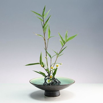 實用園藝工具 變形花插 自由花留 插花固定神器 自由彎曲簡約花藝插花工具 中式花道花藝花器花瓶工具 異型劍山 田螺精選