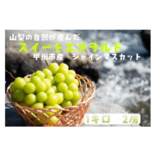 ふるさと納税 山梨県 甲州市 山梨の自然が産んだスイートエメラルド甲州市産シャインマスカット！1kg2房（UD）A08-865