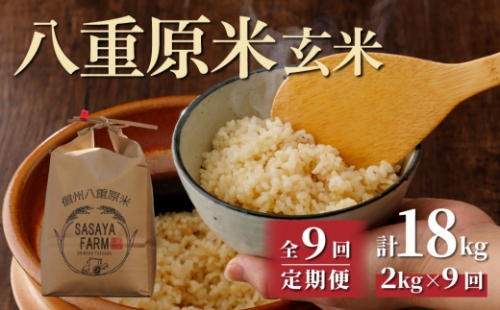 八重原米2kg（2kg×1袋）玄米