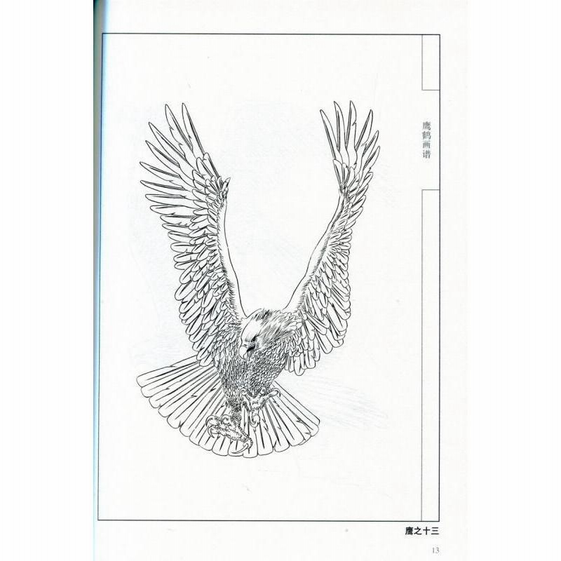 中国絵画　工芸　鷹 たか 工筆鷹画法 中国画技法叢書 中国絵画/工笔鹰画