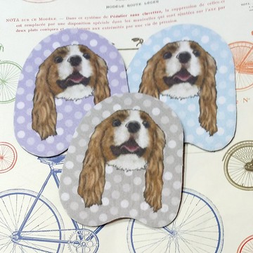 查理士王小獵犬-大頭杯墊-不織布吸水杯墊~