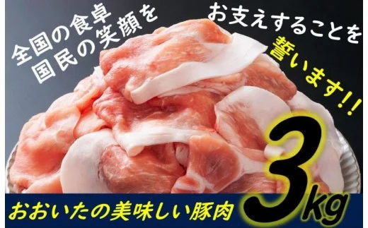 ×味も量も自信あります!!大分県産豚切り落とし3kg　（0244N)