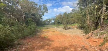 107林口高爾夫球場旁都內農｜新北市林口區瑞平段