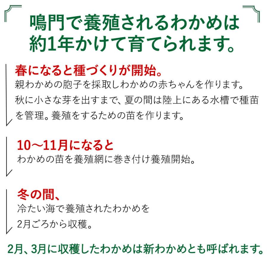 わかめ 乾燥わかめ 国産　糸わかめ  50g 鳴門海峡 鳴門わかめ  徳島 漁師が育てた鳴門海峡産  ワカメ 国産わかめ  海藻 美味しい物