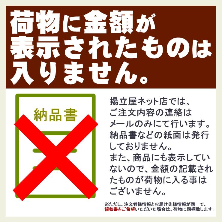 揚立屋 さつま揚げ ギフト 送料無料 ネット限定 鹿児島