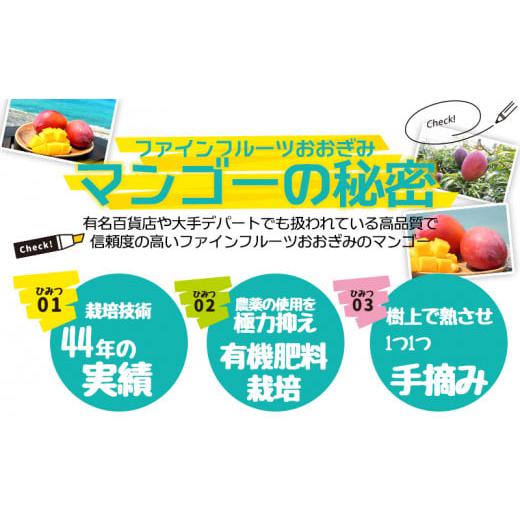 ふるさと納税 沖縄県 大宜味村 ご家庭用でも極上に美味しい完熟アップルマンゴー1.5kg　農園直送！