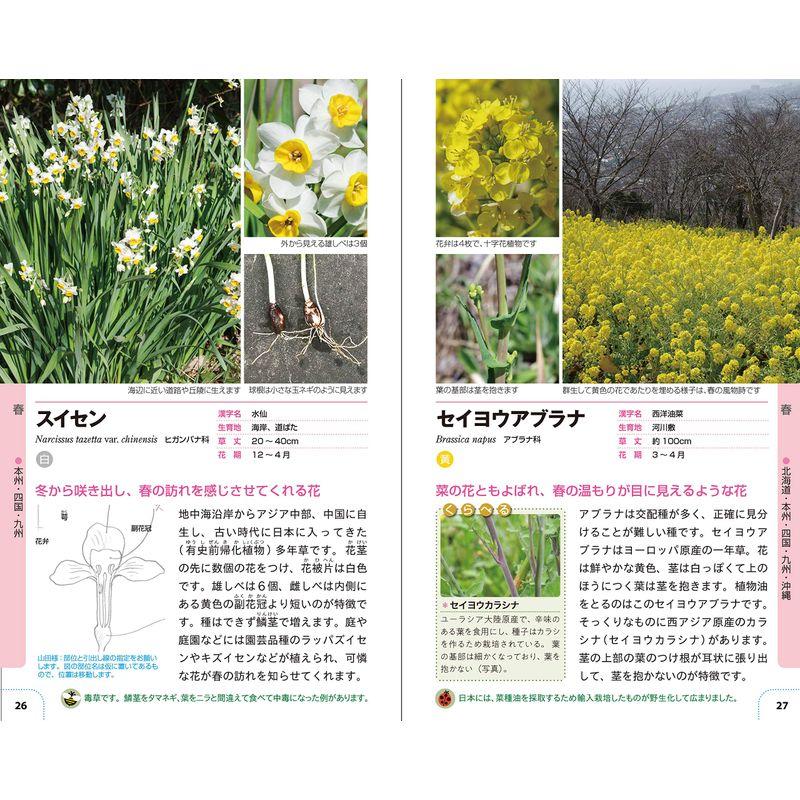 自然散策が楽しくなる 草花・雑草図鑑