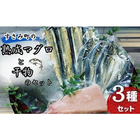 ふるさと納税 すさみ町の熟成マグロと干物のセット（まぐろ200g〜300g×1本 、干物×6枚【あじ開き×3 、さんまみりん干し.. 和歌山県すさみ町