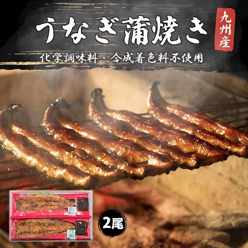 福岡養鰻 うなぎ 手焼き 炭火 九州産 うなぎ 蒲焼き 2尾