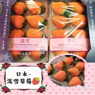 【緁迪水果JDFruit】日本淡雪草莓 2盒/箱 日本空運精品水果- 冬季限定 高級伴手禮【免運費】【下訂前可先詢問到貨日】 稀少品種少女草莓款 l