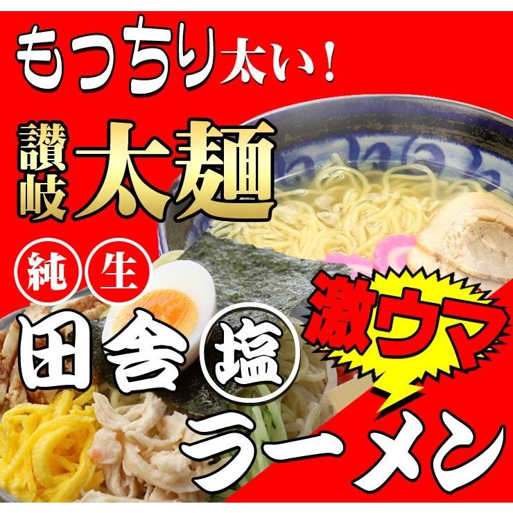  讃岐 生太 田舎 塩ラーメン（大ボリューム 1人前130g×4食 特選塩スープ付） 送料無料 ネコポス 激ウマ