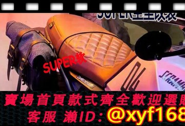 {保固一年 可打統編}高金GK500穿越咖啡攀爬雙人坐墊駝峰坐墊定制，可降低加厚改軟