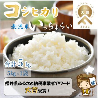 ふるさと納税 あわら市 「いっちょらい」 福井県産 コシヒカリ 無洗米 5kg