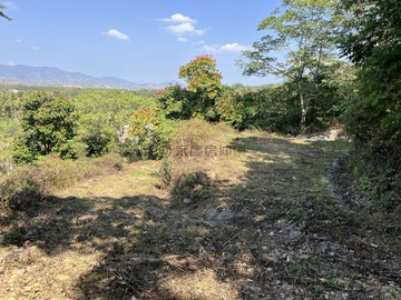 杉林區月光山景觀山坡地｜高雄市杉林區雙坑段