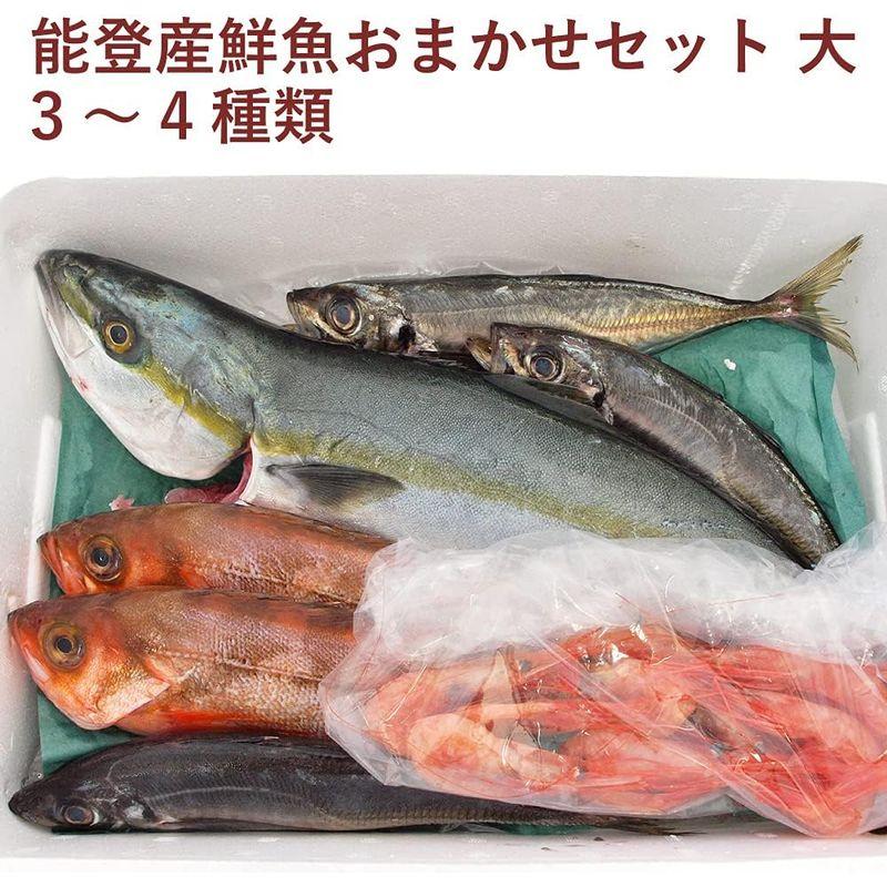 能西水産 能登産鮮魚おまかせセット 大 3?4種類