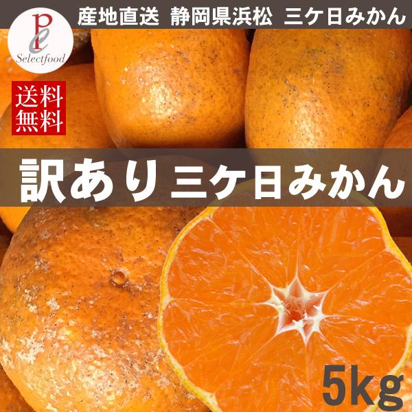 訳ありみかん キズ 静岡三ヶ日みかん 早生 5kg 産地直送 送料無料