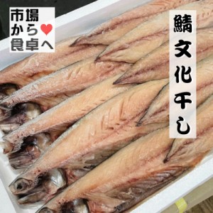 さば文化干し 鯖の干物 10枚(1枚当たり約120g)脂のっています