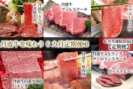 丹波牛を味わう 定期便B  丹波牛定期便 食べ比べ定期便 牛肉定期便 焼肉 すき焼き しゃぶしゃぶ 定期便 ローストビーフ付き定期便 ブロック 肉 A5 ランク 牛 冷凍 定期便 京都 京丹波町 定期便 [220IZ001R]