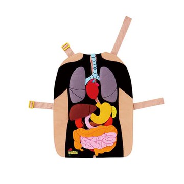 【兒童學習的好助手】 人體器官布圍裙#14606