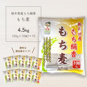 もち麦 (45g×10袋)×10個