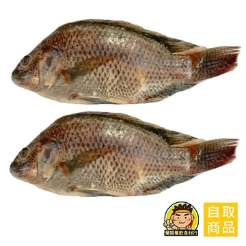 【蘭陽餐飲食材行】冷凍 吳郭魚 箱購 ( 有大小隻可選 ) 台灣養殖 水產 海鮮 魚類 魚肉 已去鰓去鱗 尤適餐廳便當店  ( 此為冷凍自取品號 )