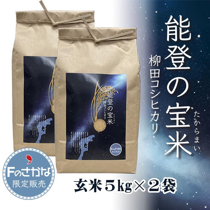 「能登の宝米」柳田コシヒカリ 10kg（玄米5kg×2袋）・送料込