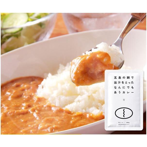 カレー ごと カレー レトルト  国産 保存料 無添加 五島 鯛のだし カレー ギフト 御歳暮 内祝い