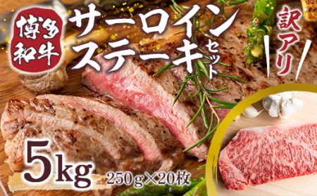 訳アリ！博多和牛サーロインステーキセット 5kg（250g×20枚） DX034