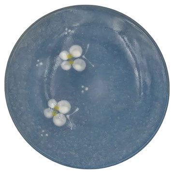 美濃燒 開片皿 -日本製  藍雙蝶  1個  14.7 x 2.5cm