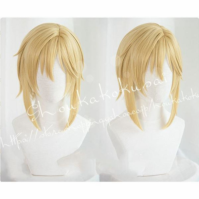 コスプレウィッグ あんさんぶるスターズ! 風 Valkyrie 仁兎