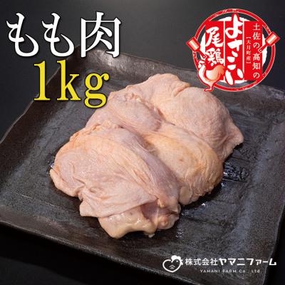 ふるさと納税 大月町 よさこい尾鶏 もも肉1kg