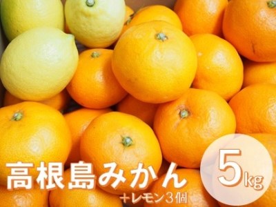 こだわり栽培　高根島みかん　5ｋｇ レモン3個入り　＜2023年11月下旬より発送開始＞