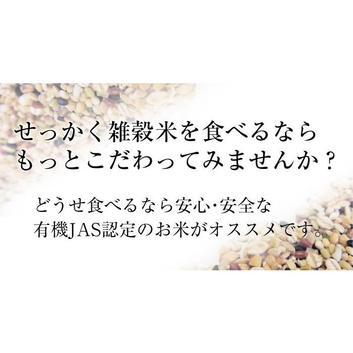 有機栽培 十穀米 ポイント消化 熊本県産 2合入 有機JAS 安心 安全 雑穀米 お試し オーガニック 無農薬