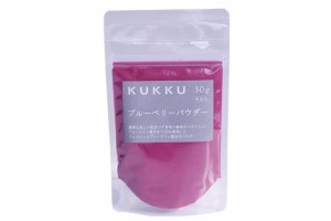 ブルーベリーパウダー　30g フルーツパウダー