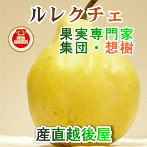  新潟県 三条果実専門家集団 想樹 樹上完熟 ルレクチェ 1kg （2個～3個）贈答用