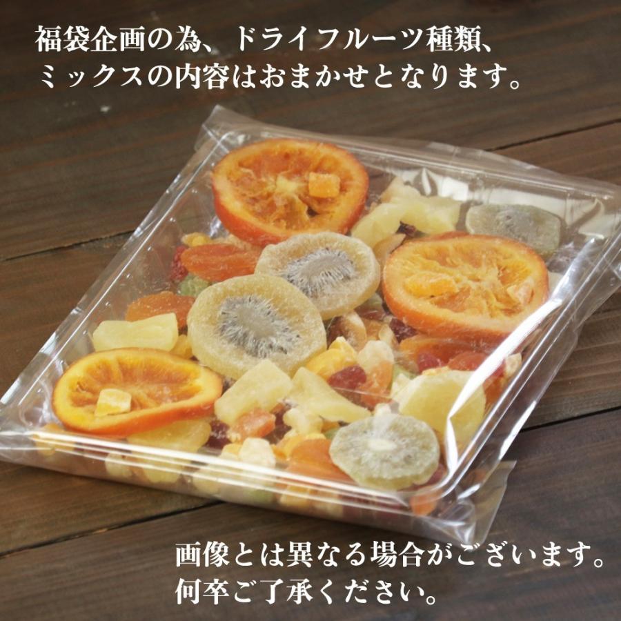 大地の生菓 ドライフルーツ 福袋 送料無料 フルーツ ミックス 400g パイナップル キウイ フルーツティー クリスマス ギフト プレゼント 2023