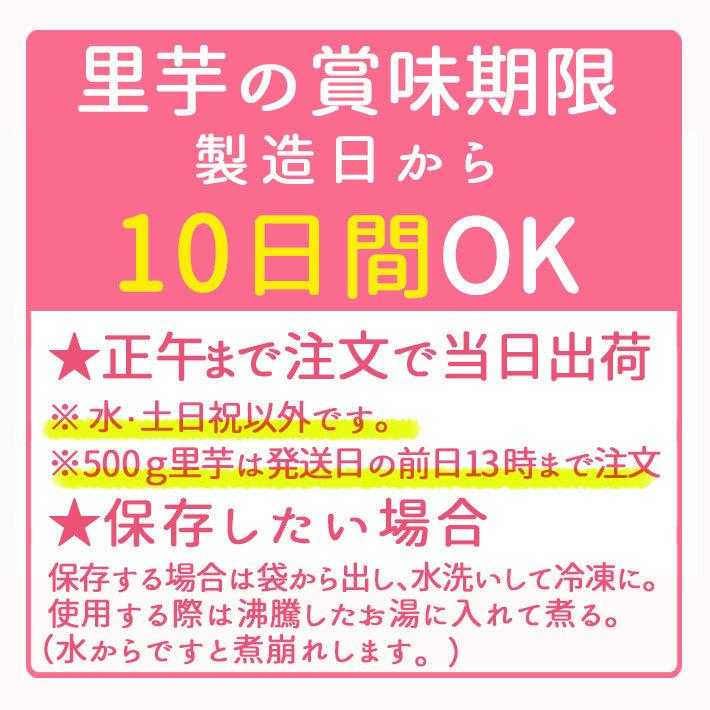 芋煮用 皮むき里芋 洗い＆むき 800g 400g×2 国産 クール便・宅配Box不可