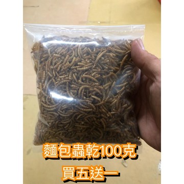 FJiueseAqua超級便宜乾燥麵包蟲  麵包蟲乾 100克 飼料 蜜袋鼯 刺蝟 松鼠老鼠、麵包蟲乾 倉鼠 買五送一包