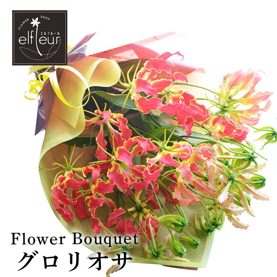 グロリオサ 花束 生花 フラワーギフト プレゼント 誕生日 贈り物 通販 Lineポイント最大0 5 Get Lineショッピング