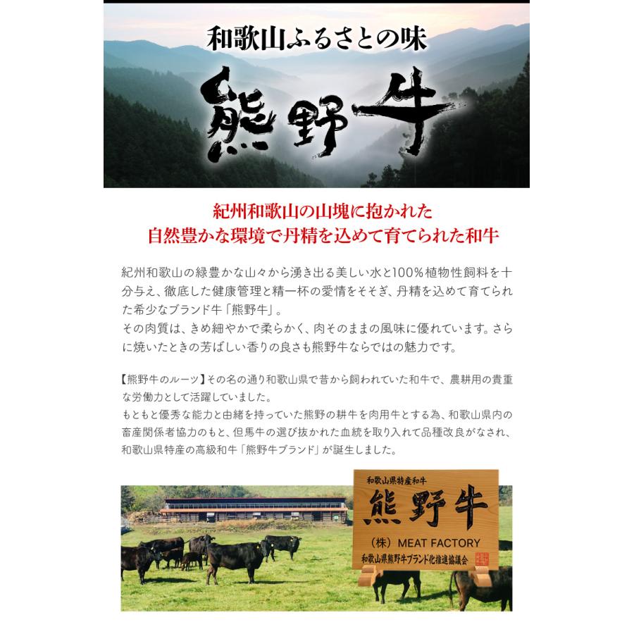 高級 サーロイン ステーキ A4 ランク 熊野牛 和歌山県産 黒毛和牛 300g (150g×2枚) Ａ４ お歳暮 ギフト 贈り物 牛肉 誕生日 お中元 BBQ メーカー直送