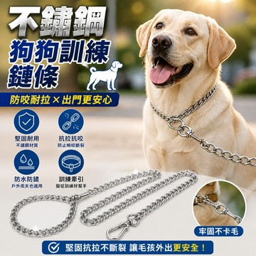 【台灣出貨】4.0MM*2M 不鏽鋼狗鍊｜寵物牽引鍊｜加粗抗拉防咬鏈條｜戶外溜狗鍊｜中大型犬適用