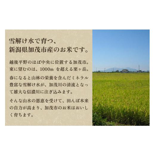 ふるさと納税 新潟県 加茂市 新潟県加茂市産コシヒカリ 精米15kg（5kg×3）白米 加茂有機米生産組合