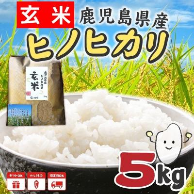 ふるさと納税 南九州市 鹿児島県産ヒノヒカリ5kg