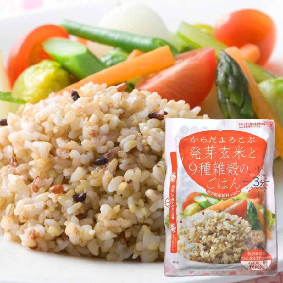 パックご飯 雑穀 発芽玄米と9種雑穀のごはん 160g×36袋セット 送料無料