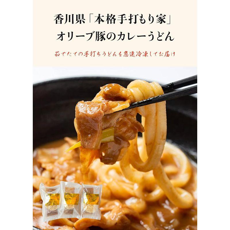 香川 本格手打 もり家 オリーブ豚の冷凍 カレーうどん 6人前（だし付き）年間15万人が訪れる香川屈指の人気店 讃岐うどん さぬきうどん さ